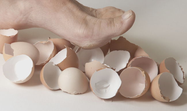 Eggshells